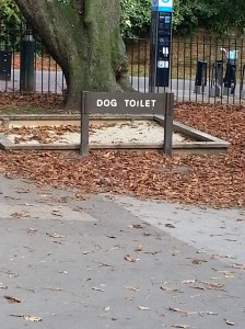 dog toilet